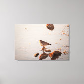 Key West Shorebird Reflectie Florida Keys Canvas Afdruk (Voorkant)