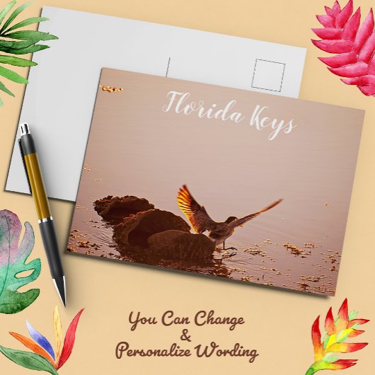 Key West Shorebird Sunset Rocks Florida Keys Briefkaart