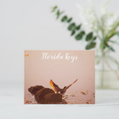 Key West Shorebird Sunset Rocks Florida Keys Briefkaart (Staand voorkant)
