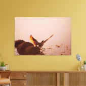 Key West Shorebird Sunset Rocks Florida Keys Canvas Afdruk (Insitu (Woonkamer))