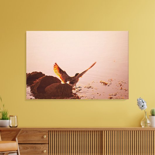 Key West Shorebird Sunset Rocks Florida Keys Canvas Afdruk (Insitu (Woonkamer))