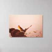 Key West Shorebird Sunset Rocks Florida Keys Canvas Afdruk (Voorkant)