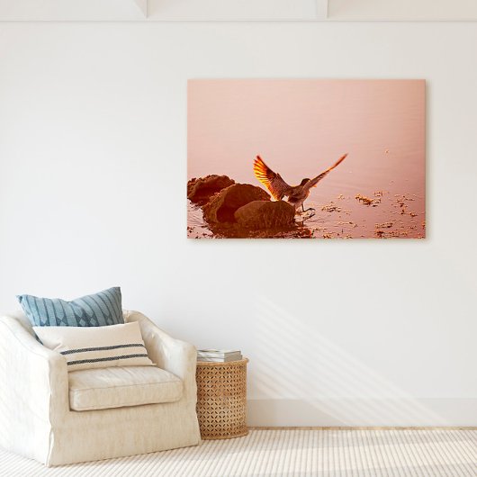 Key West Shorebird Sunset Rocks Florida Keys Canvas Afdruk