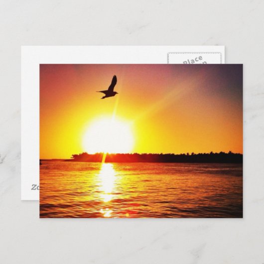 Key West Sunset Briefkaart (Voorkant / Achterkant)
