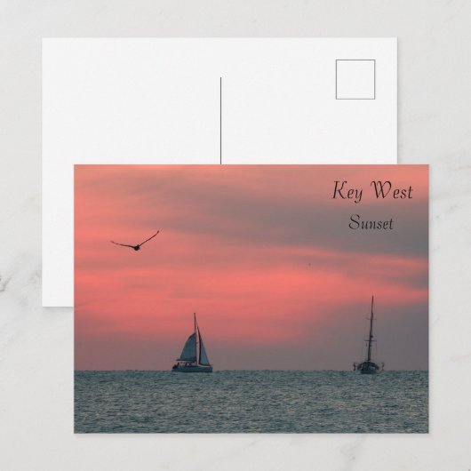 Key West Sunset Briefkaart (Voorkant / Achterkant)