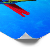 Key West Sunset Poster (Hoek)