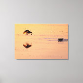 Key West Vogels Vliegende Zonsondergang Florida Ke Canvas Afdruk (Voorkant)