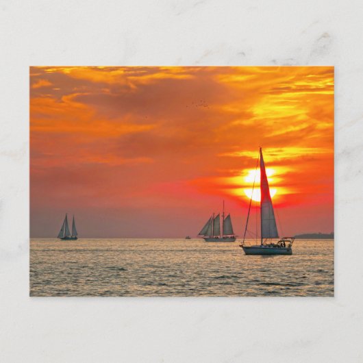 Key West Zeilboten bij Zonsondergang Briefkaart (Voorkant)