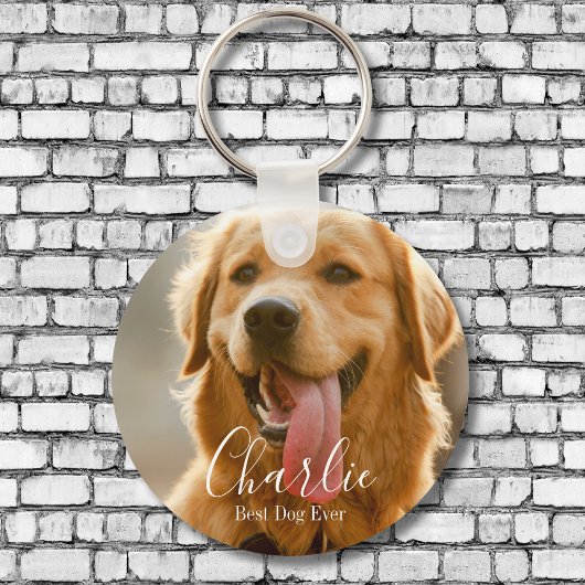 keychains double sided photo pet sleutelhanger