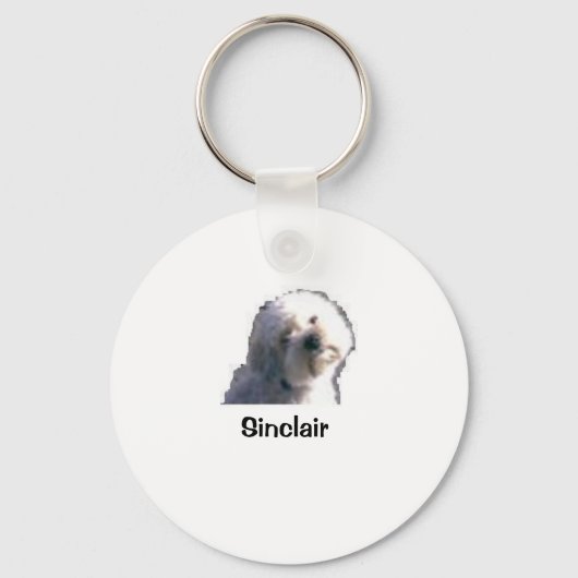 keyholder Sinclair Sleutelhanger (Voorkant)