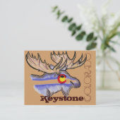 Keystone Colorado elk briefkaart (Staand voorkant)