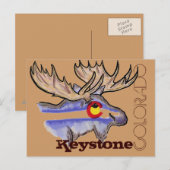 Keystone Colorado elk briefkaart (Voorkant / Achterkant)