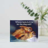 Keystone Prairie Dogs laat de hond uit de meme Briefkaart (Staand voorkant)