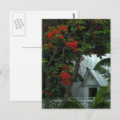 KeyWest Tin Room Post Card Briefkaart (Voorkant / Achterkant)