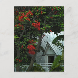 KeyWest Tin Room Post Card Briefkaart