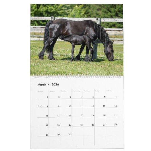 KFPS Friesian Horses Kalender (Mar 2026)