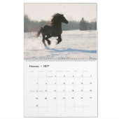 KFPS Friesian Horses Kalender (Feb 2027)