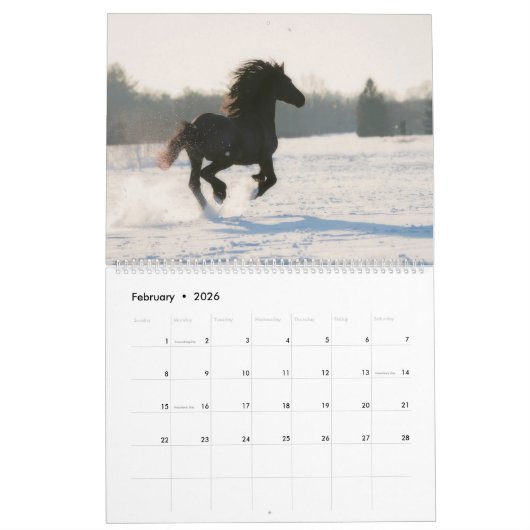 KFPS Friesian Horses Kalender (Feb 2026)