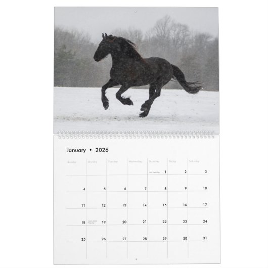 KFPS Friesian Horses Kalender (Jan 2026)
