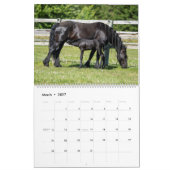 KFPS Friesian Horses Kalender (Mar 2027)