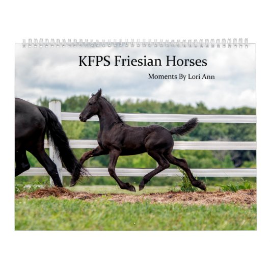 KFPS Friesian Horses Kalender (Hoes)