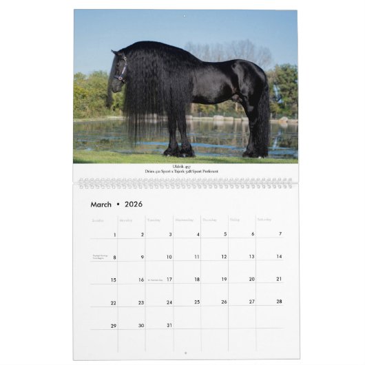 KFPS Friesian Stallion Calendar Kalender (Mar 2026)