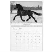 KFPS Friesian Stallion Calendar Kalender (Feb 2026)