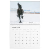 KFPS Friesian Stallion Calendar Kalender (Jan 2026)