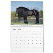 KFPS Friesian Stallion Calendar Kalender (Mar 2026)