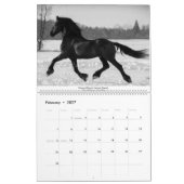 KFPS Friesian Stallion Calendar Kalender (Feb 2027)