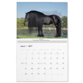 KFPS Friesian Stallion Calendar Kalender (Mar 2027)