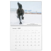 KFPS Friesian Stallion Calendar Kalender (Jan 2027)
