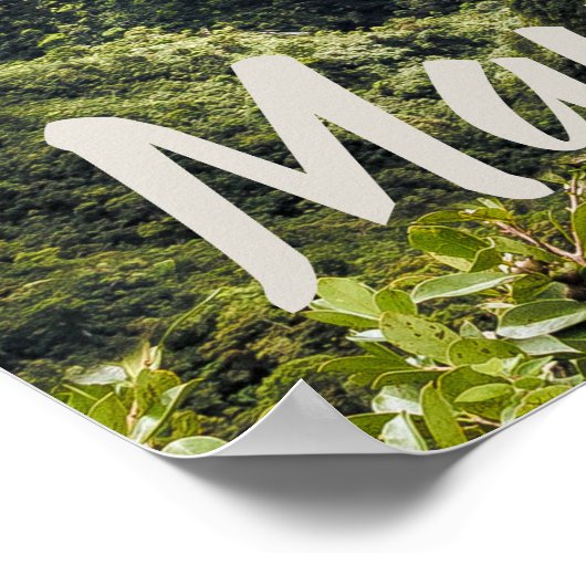 Kgift Mauritius Black River Gorges Viewpoint Poster (Hoek)