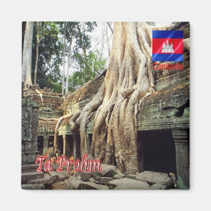 KH - Cambodja - Ta Prohm Magneet