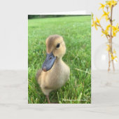 Khaki Appleyard Duckling Kaart (Gele Bloem)