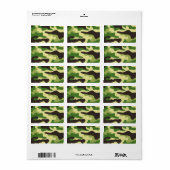 Khaki-camouflage Etiket (Full Sheet)