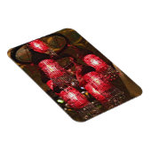 Khan el Khalili Bazaar, handelaar voor verkoop; Magneet (Rechterzijde)