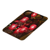 Khan el Khalili Bazaar, handelaar voor verkoop; Magneet (Linkerzijde)