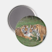 khan-n-china009 magneet (Voorkant / Achterkant)