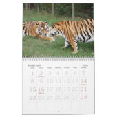 khan-n-china010, Shere Khan en China Dollthe B... Kalender (Feb 2026)