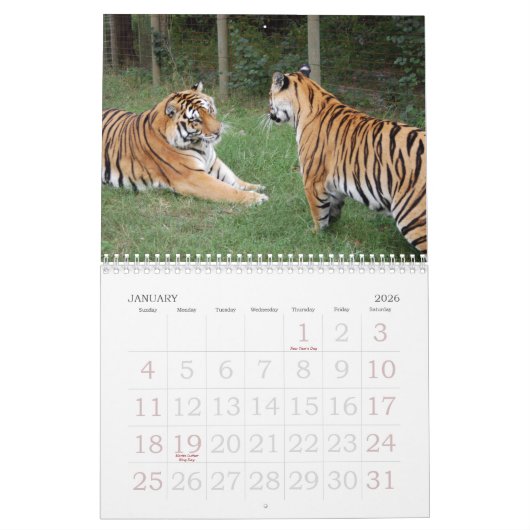 khan-n-china010, Shere Khan en China Dollthe B... Kalender (Jan 2026)