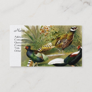 Khesimieren 2 visitekaartje