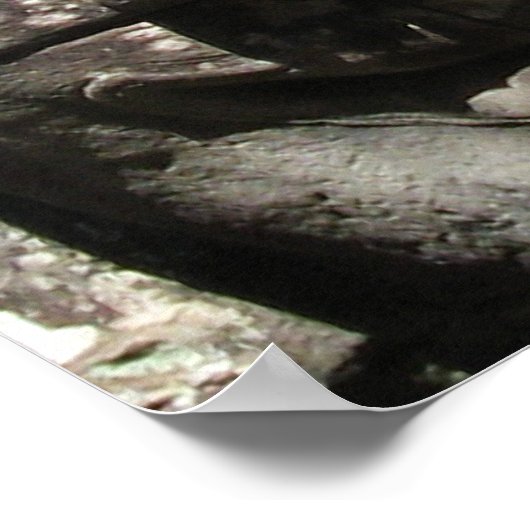 Khmer Stone Face ... Bayon Temple, Cambodja Poster (Hoek)