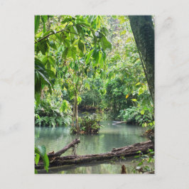 Khoung Si-Herfsten, Forest Lake, Laos Briefkaart