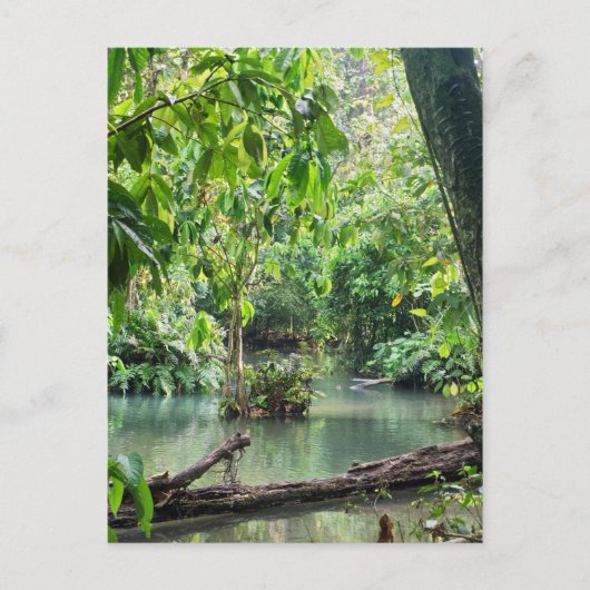 Khoung Si-Herfsten, Forest Lake, Laos Briefkaart (Voorkant)