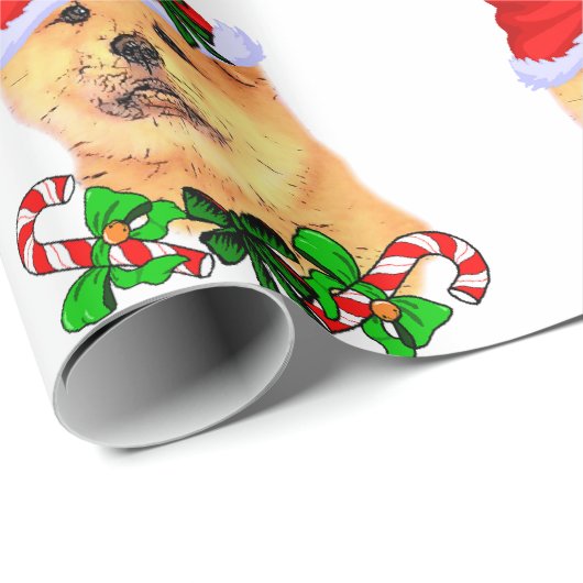 Khow met kerst cadeaupapier (Rol Hoek)