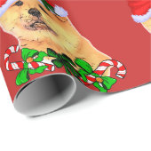 Khow met kerst cadeaupapier (Rol Hoek)