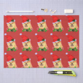 Khow met kerst tissuepapier (Craft)