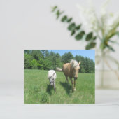 Khrysta en Cash Briefkaart (Staand voorkant)