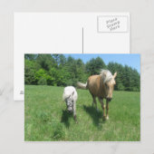 Khrysta en Cash Briefkaart (Voorkant / Achterkant)